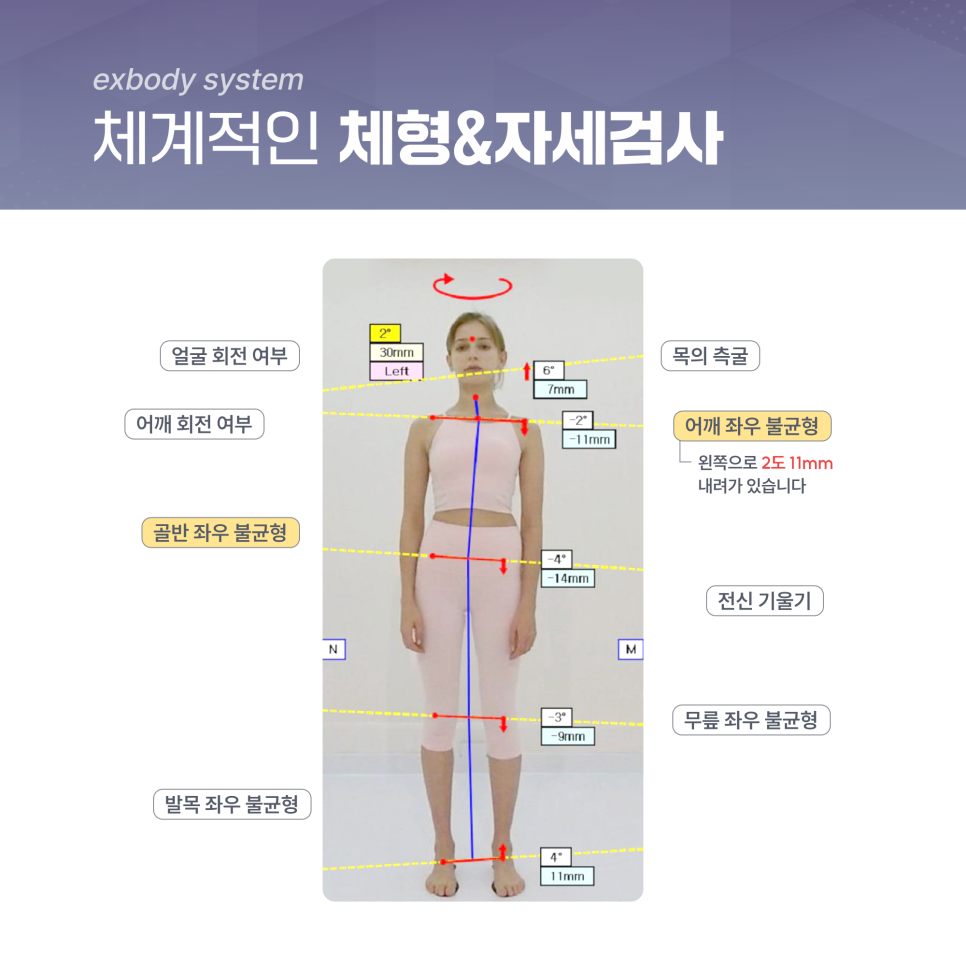 엑스바디 분석 화면1