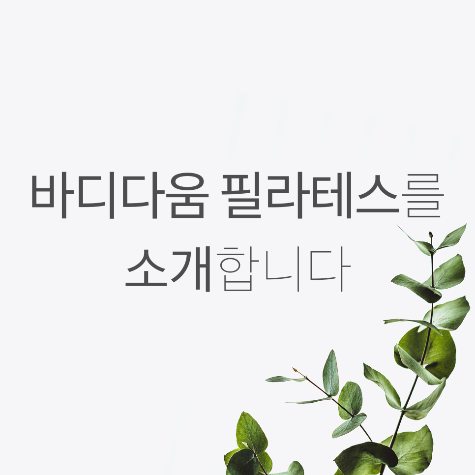 바디다움 필라테스 소개